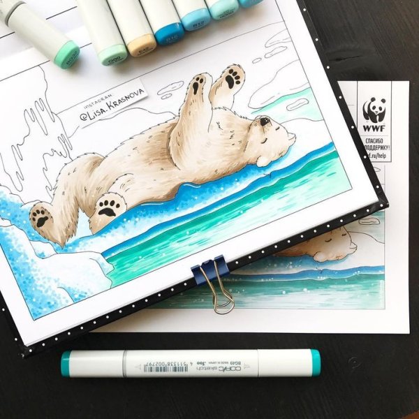 Медведь скетч маркерами