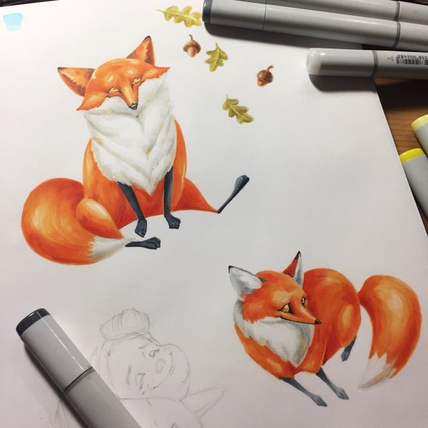 Лиса маркерами