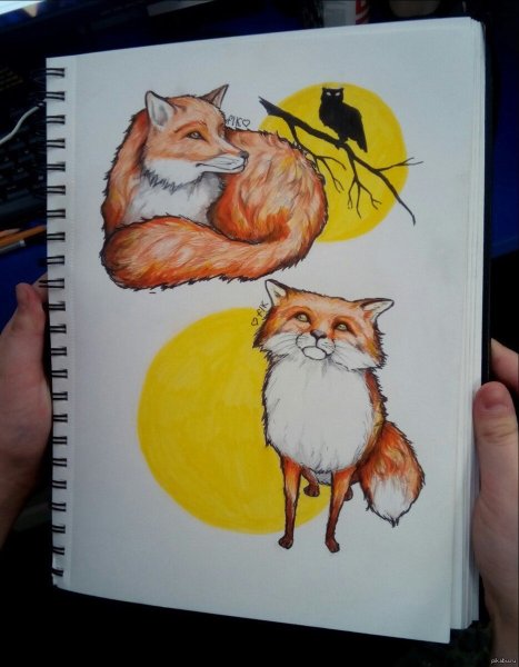 Лисы маркерами