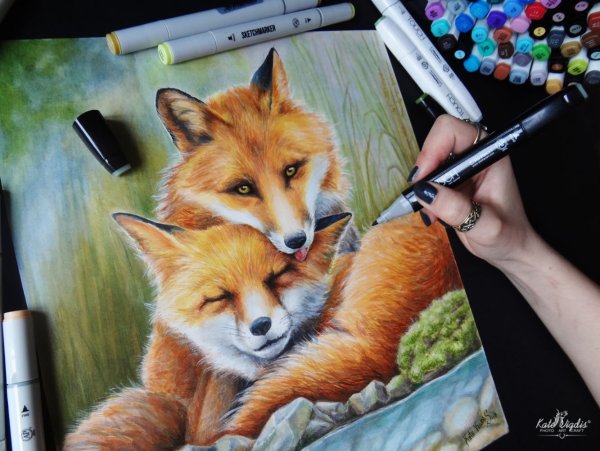 Животные спиртовыми маркерами