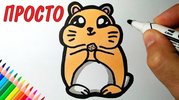 Рисунки хомячков фломастерами