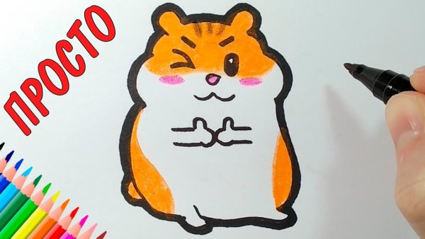 Рисунок хомяка фломастерами