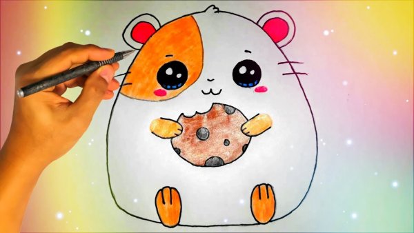 Милые рисунки для срисовки хомячок