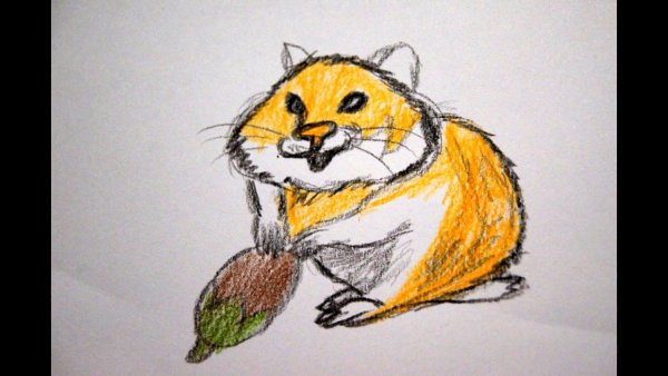 Хомячок фломастерами