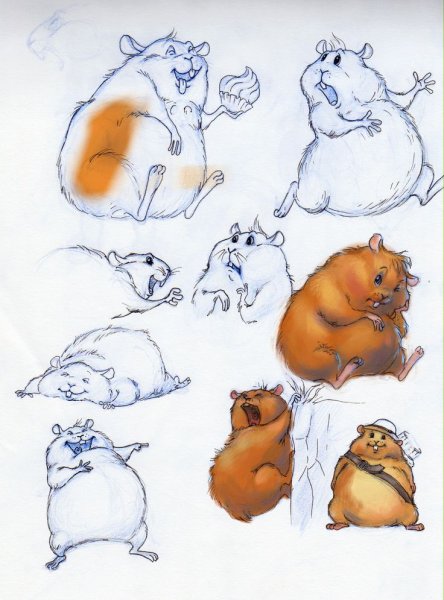 Зарисовки хомяка