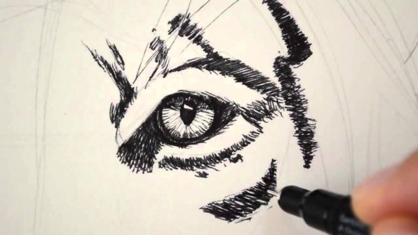 Рисунки маркером черным