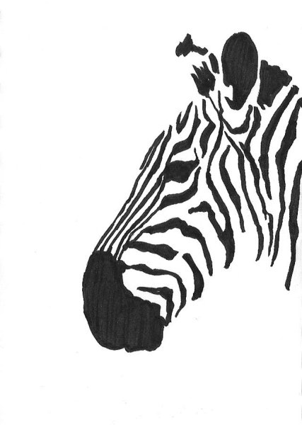 Рисунки маркерами