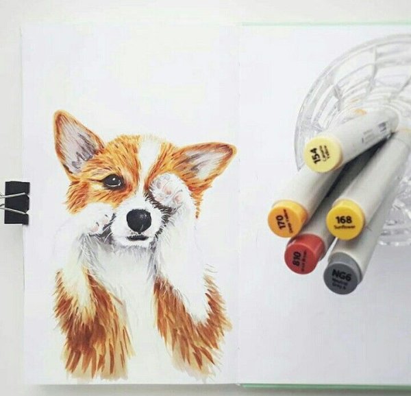 Рисунки маркерами