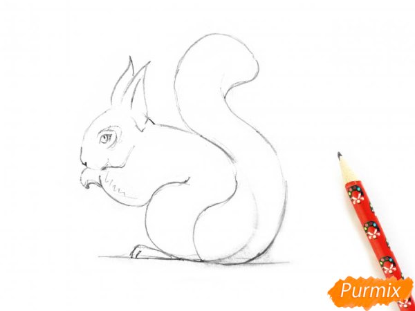 Рисование Белочка