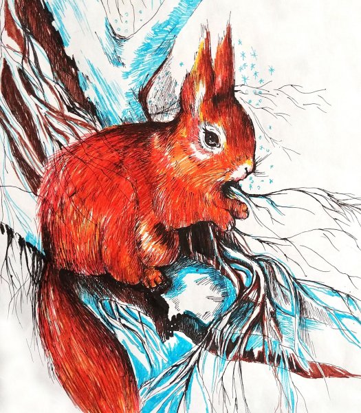 Белка маркерами