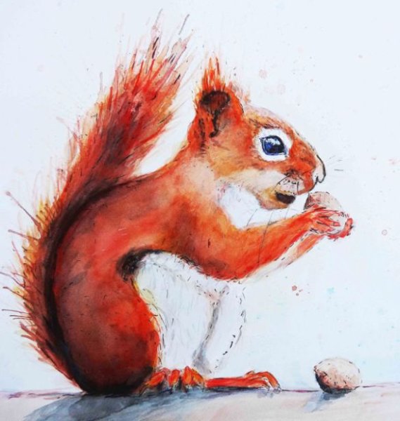 Акварель животные красное