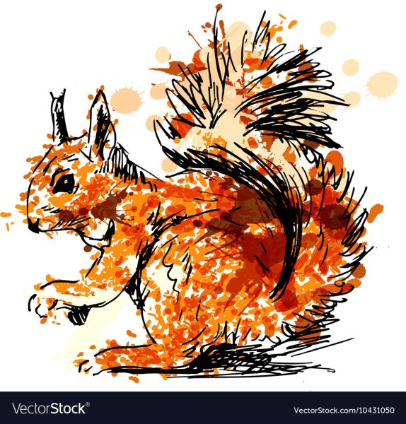 Белочка фломастером