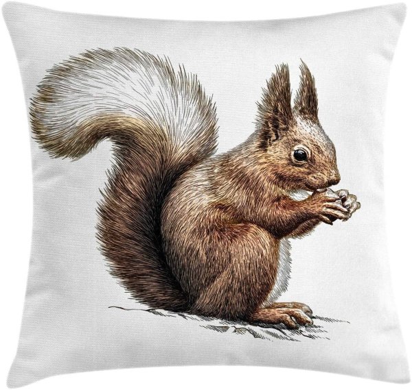 Белочка с шишкой рисунок