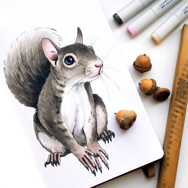 Энимал скетчинг