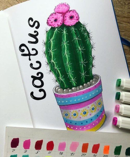 Кактус в горшке маркерами