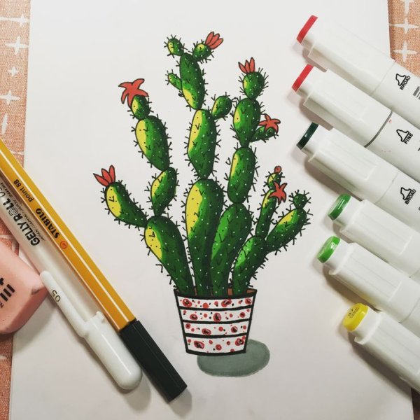 Кактус фломастерами