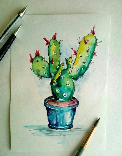 Кактус маркерами