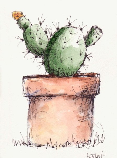Кактус рисунок