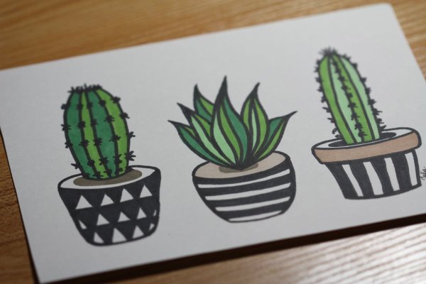 Кактус рисунок