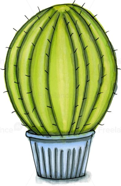 Скетчинг Кактус