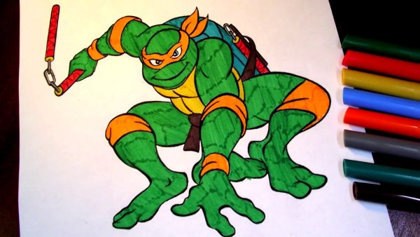 Черепашка раскраска цветная