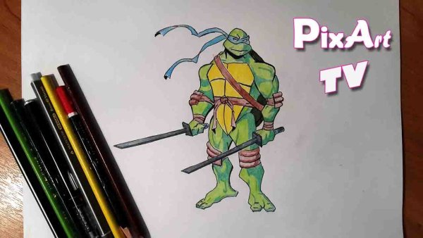 Черепашки ниндзя рисование для детей