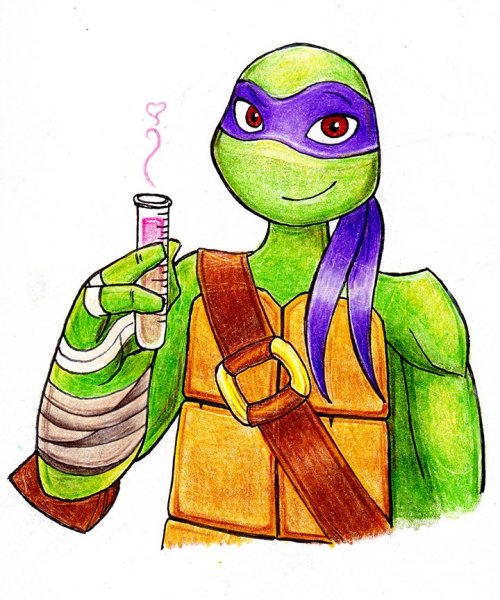 Черепашки ниндзя скетч