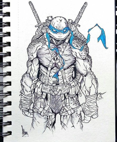 TMNT 2003 срисовка