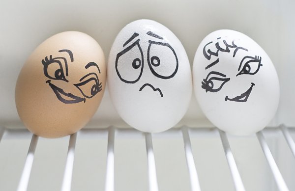 Мордочки на яйцах