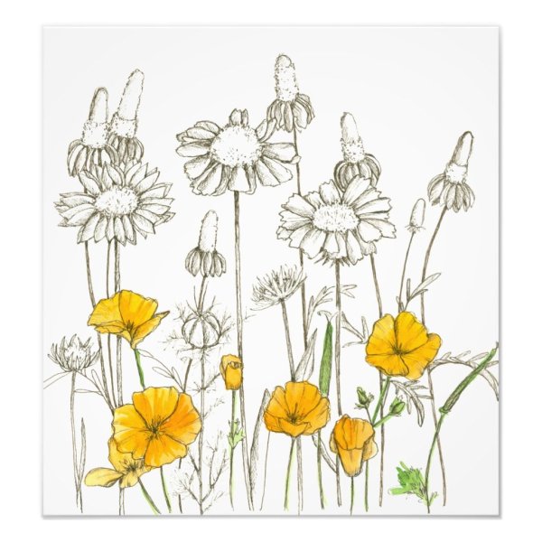 Стилизованные полевые цветы