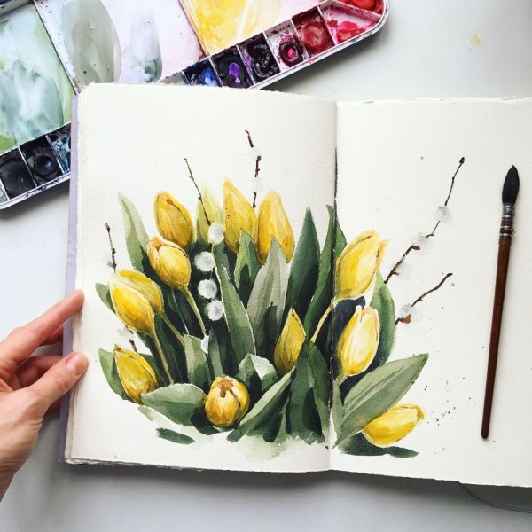 Скетчи растений акварелью