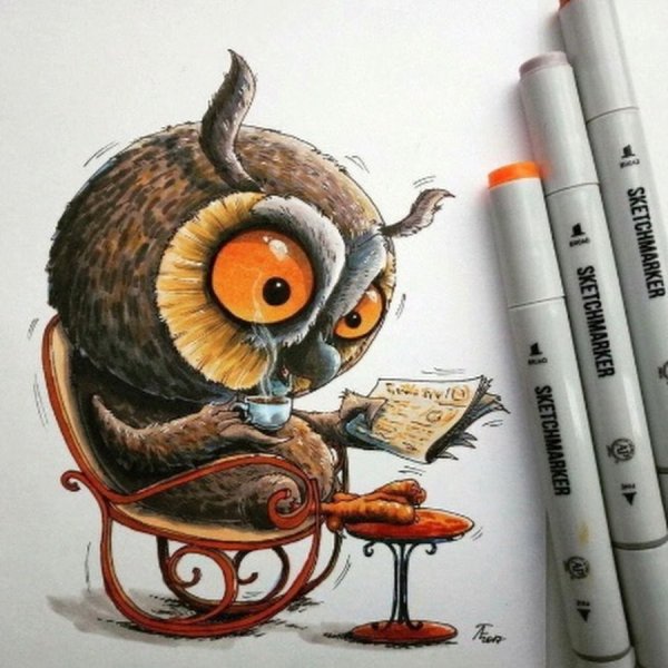 Сова маркерами