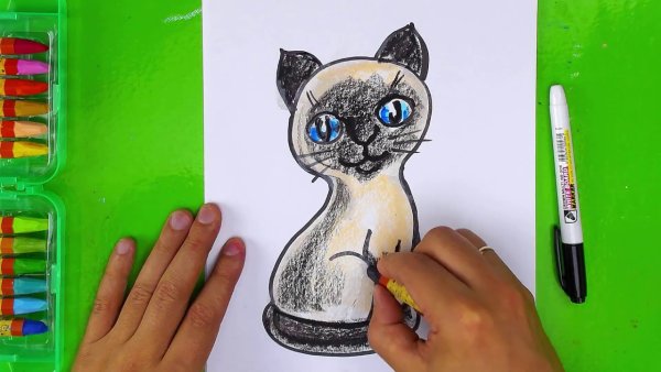 Рисование для детей маркерами котки