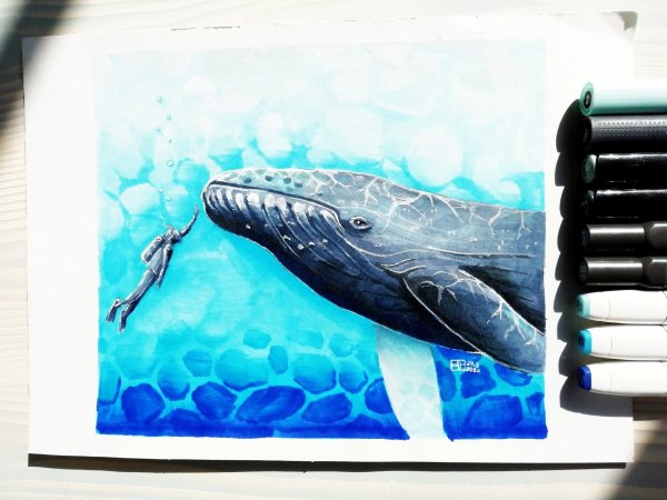 Море маркерами