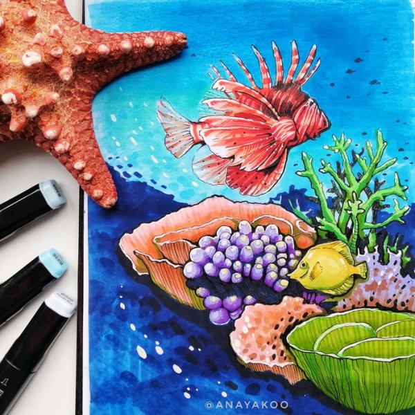 Морской скетч