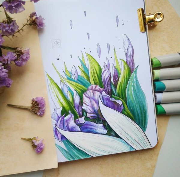 Цветы фломастерами