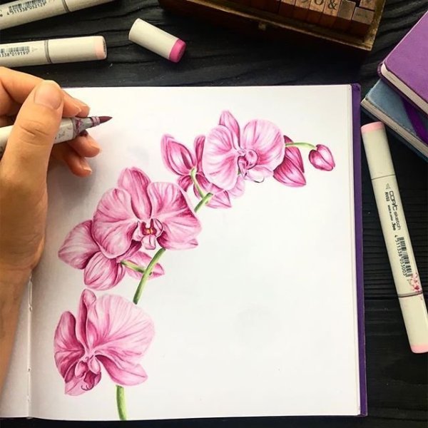 Рисуем цветы фломастерами