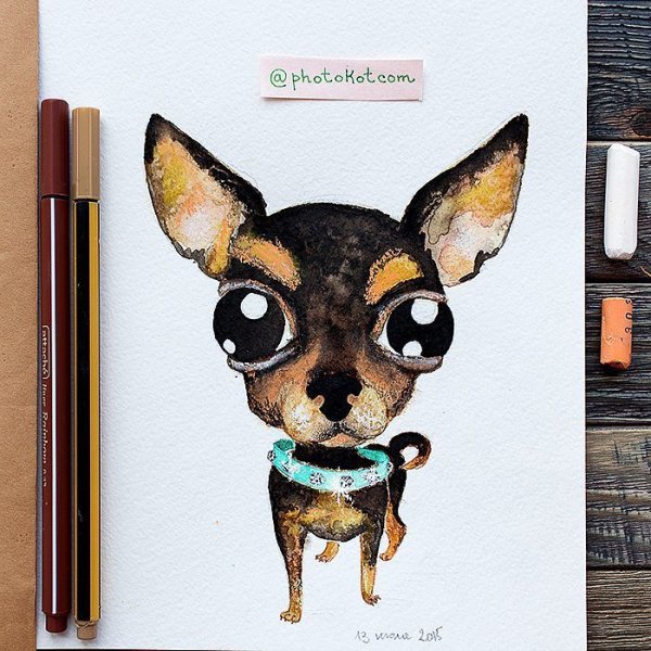 Скетчинг корги