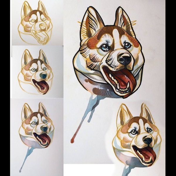 Собака фломастерами