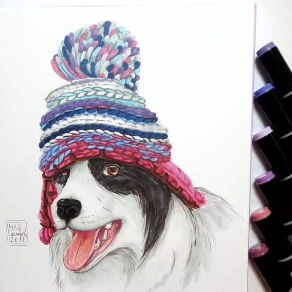 Рисунки маркерами для скетчинга собаки