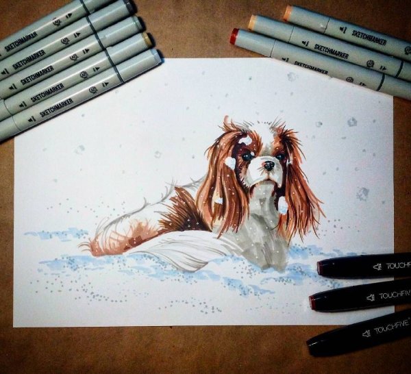 Собака маркерами