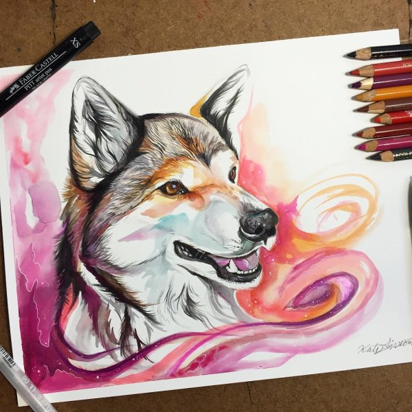 Скетчинг собака