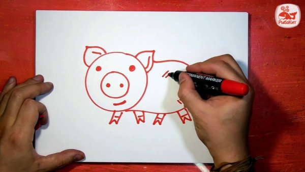 Леттеринг Pilot Parallel Pen