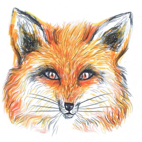 Лиса маркерами