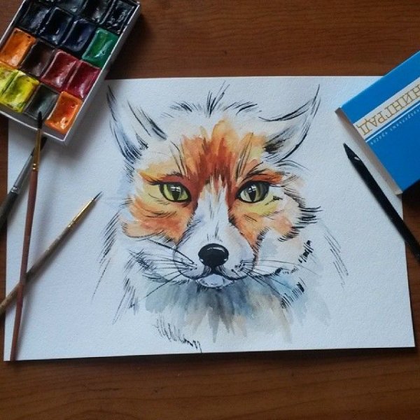 Лиса рисунок маркерами