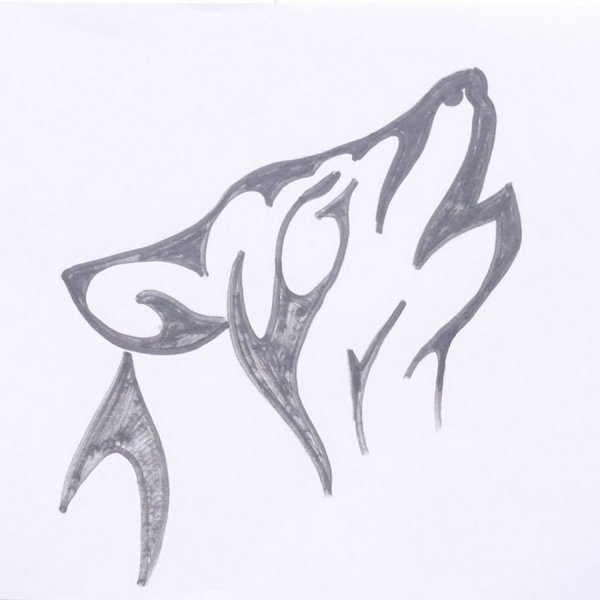 Рисунки маркером волк