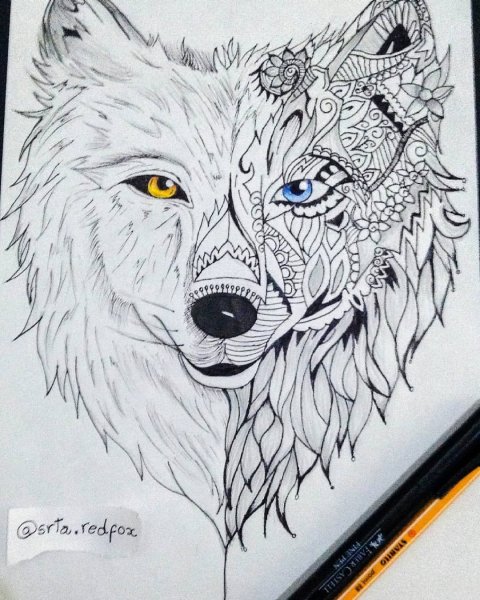 Волк для скетчбука