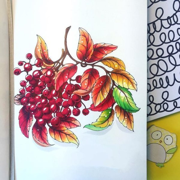 Лиза Краснова скетч