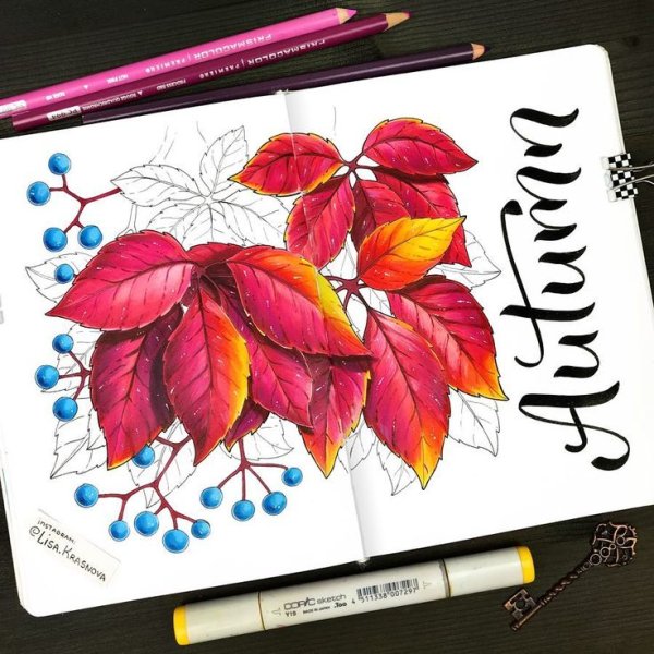 Скетчи маркерами вино