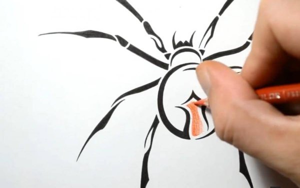 Паук маркером